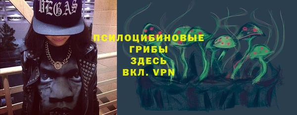 СК Медногорск