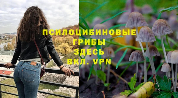 амф Медвежьегорск