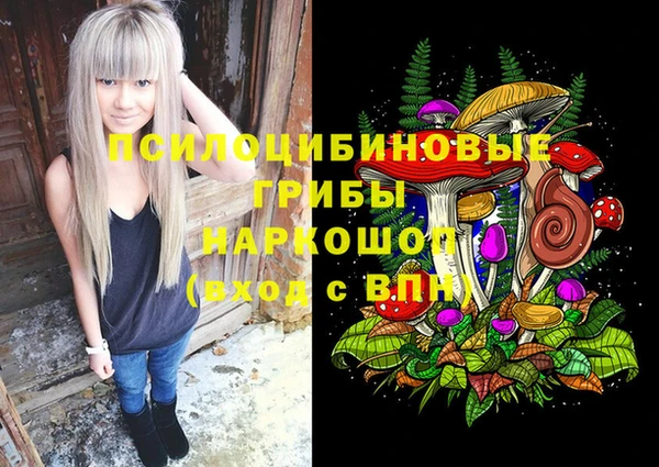 СК Медногорск