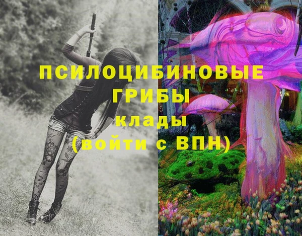 метадон Мегион