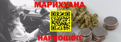 СК Бийск