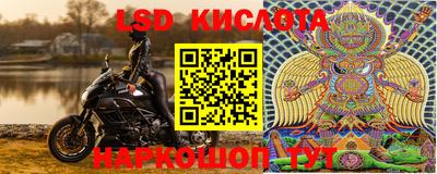 прущие грибы Берёзовский