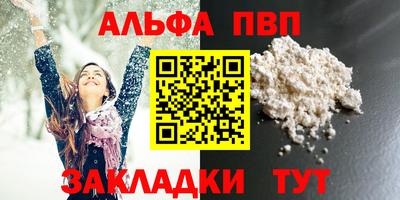 СК Бийск