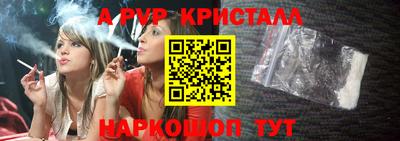 СК Бийск