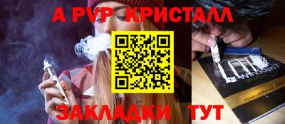 СК Бийск
