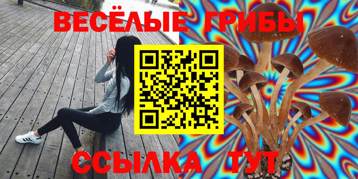 Галлюциногенные грибы мухоморы Каменск-Уральский