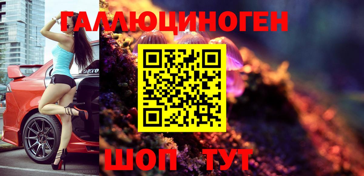 Галлюциногенные грибы Psilocybine cubensis  Вход с VPN  Псилоцибиновые грибы мухоморы  Каменск-Уральский 